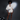 Shorts Boxer Lights