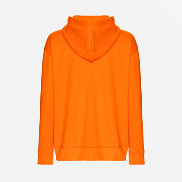 Hoodie Bear