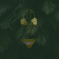Biquíni Bears